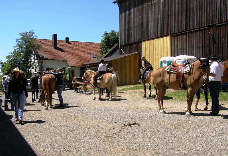 whf_2.JPG - Über 50 Pferde waren zum Turnier in Woppenrieth gemeldet.
