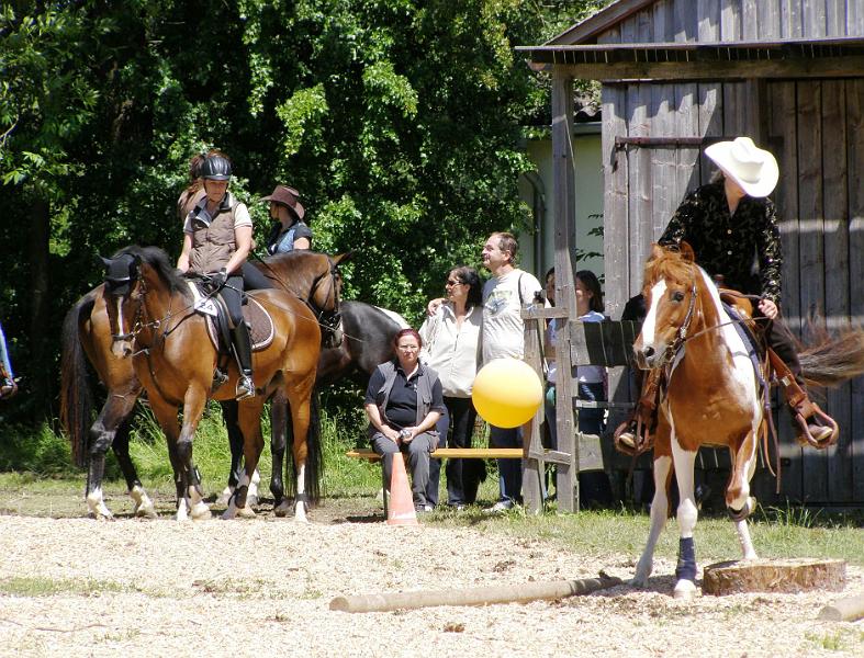 whf_3.JPG - Turnier in Woppenrieth: das Pferd will einfach nicht auf die Holzscheibe.
