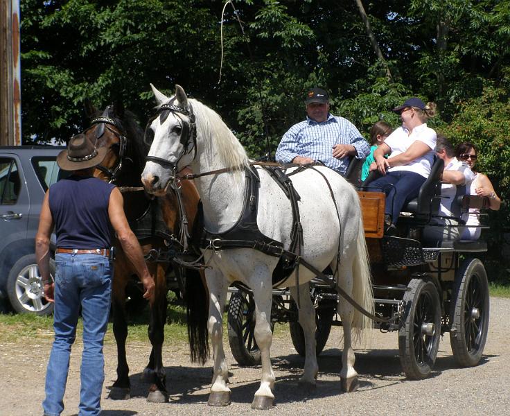 Country_07.JPG - Mit einem imposanten Pferdegefährt wurden die Gäste kutschiert.