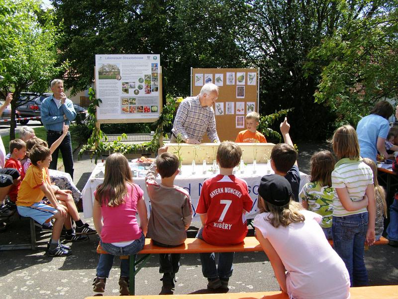 Schul_13.JPG - "Was ist das für eine Pflanze?" - Der Bund Naturschutz (hier mit Lehrer Hans Pausch) hält eine Unterrichtsstunde im Freien ab.