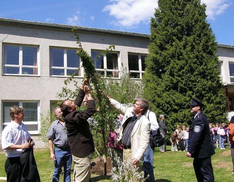 Hos_Baum_schief.JPG - Ludwig Spiller vom Amt für Ländliche Entwicklung Regensburg (mit heller Jacke) richtet den Hostauer Baum auf.