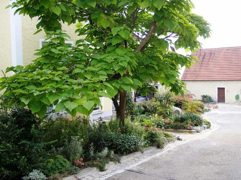 Marktgarten.JPG - Gepflegte Anpflanzungen mit Baumbestand im Umgriff der Ortskirche.
