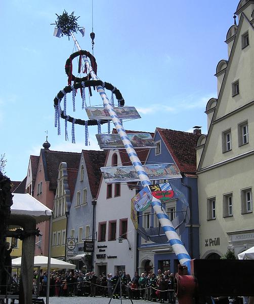 Aufstellen_halb.JPG - Prächtig geschmückt, der OWM (Original Weidener Maibaum).