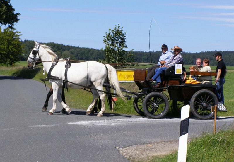 whf_10.JPG - Kutschenfahrten bei strahlendem Sonnenschein.
