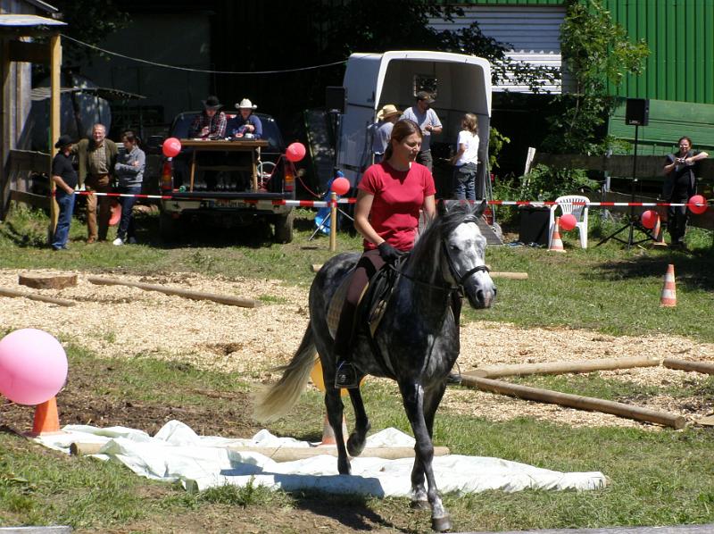 whf_4.JPG - Schwierige Stationen hatten Pferd und Reiterin  auf dem Parcours zu meistern.